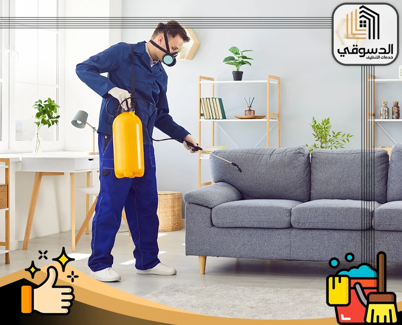 مكافحة حشرات في العين