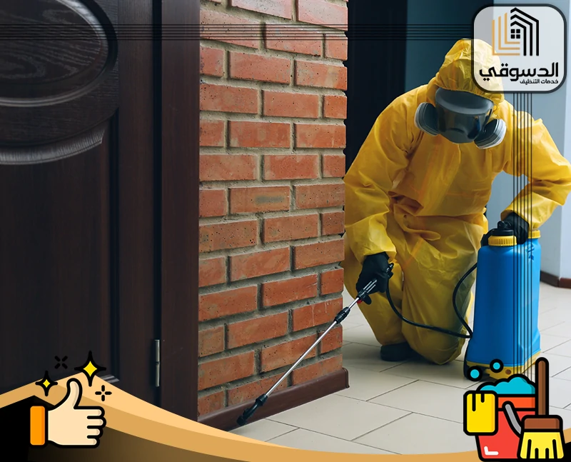فني مكافحة حشرات في العين