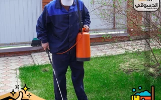 شركة مكافحة حشرات في العين