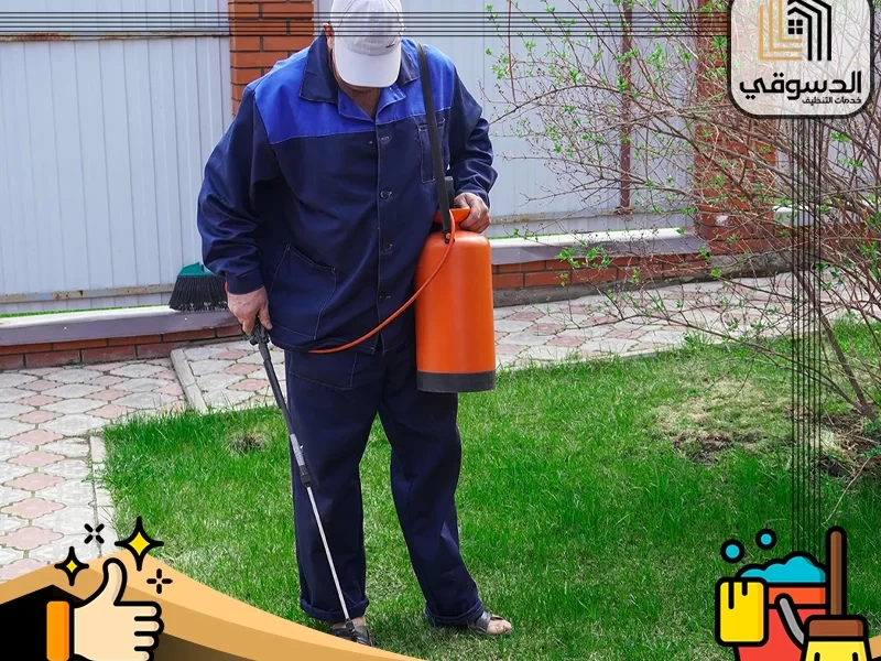 شركة مكافحة حشرات في العين