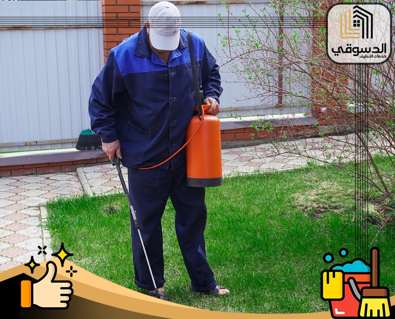 شركة مكافحة الوزغ في العين