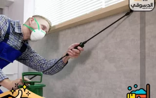 شركة مكافحة حشرات في راس الخيمة