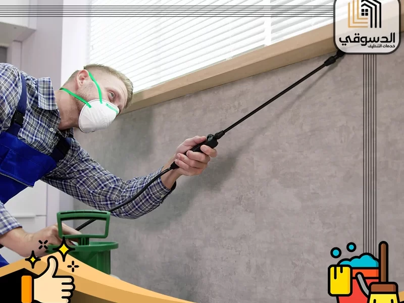 شركة مكافحة حشرات في راس الخيمة
