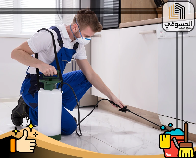 شركة مكافحة حشرات رخصية في رأس الخيمة
