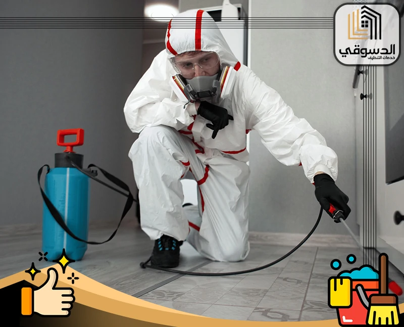 رش مبيدات في رأس الخيمة