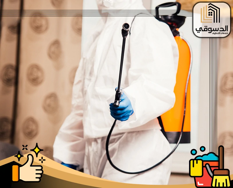 مكافحة النمل الأبيض في رأس الخيمة