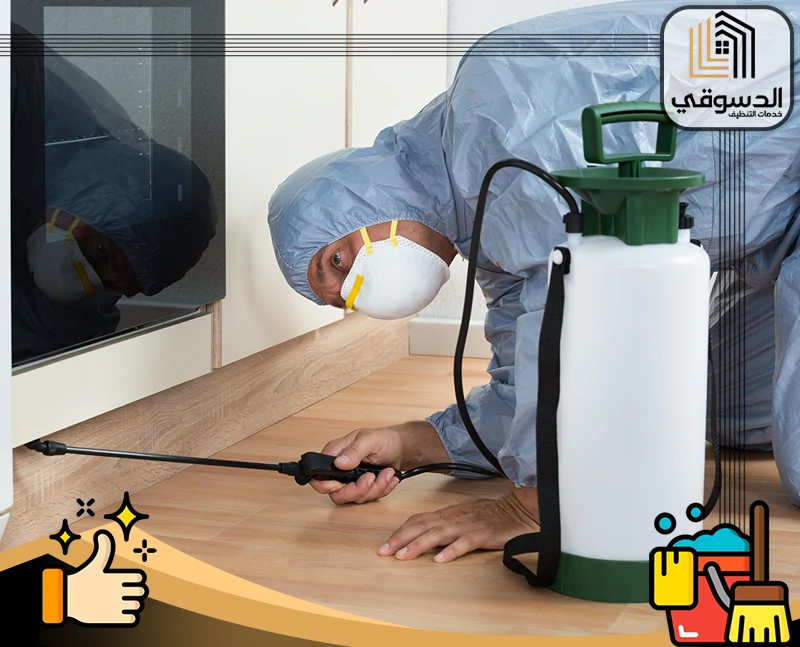 شركة مكافحة حشرات في رأس الخيمة