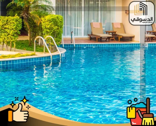 تنظيف بالبخار
