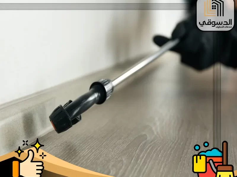 التخلص من الحشرات المنزلية